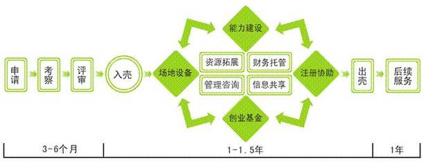 創業孵化器 定義、服務和選擇指南